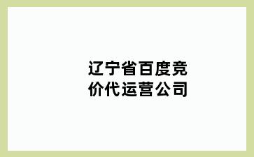 辽宁省百度竞价代运营公司