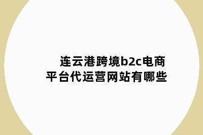 连云港跨境b2c电商平台代运营网站有哪些