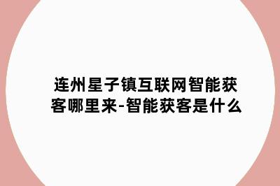 连州星子镇互联网智能获客哪里来-智能获客是什么