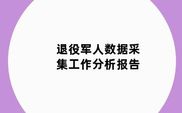 退役军人数据采集工作分析报告