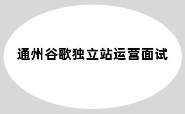 通州谷歌独立站运营面试