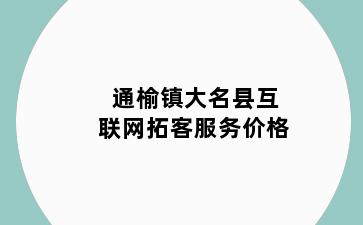 通榆镇大名县互联网拓客服务价格