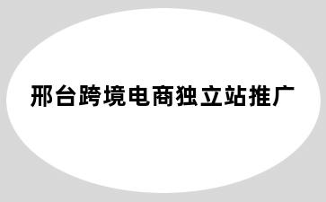 邢台跨境电商独立站推广