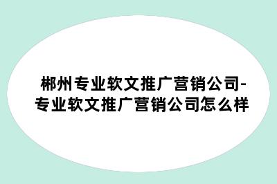 郴州专业软文推广营销公司-专业软文推广营销公司怎么样