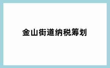 金山街道纳税筹划