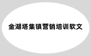 金湖塔集镇营销培训软文