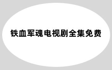 铁血军魂电视剧全集免费