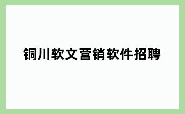 铜川软文营销软件招聘