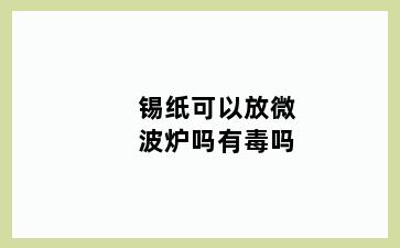 锡纸可以放微波炉吗有毒吗