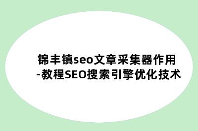 锦丰镇seo文章采集器作用-教程SEO搜索引擎优化技术