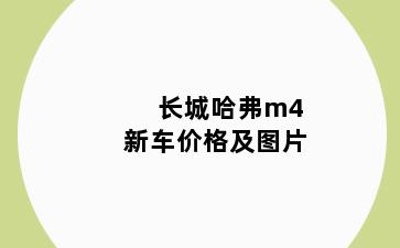 长城哈弗m4新车价格及图片