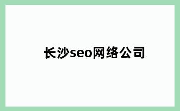 长沙seo网络公司