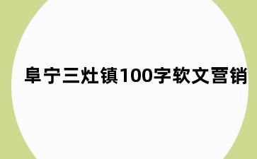 阜宁三灶镇100字软文营销