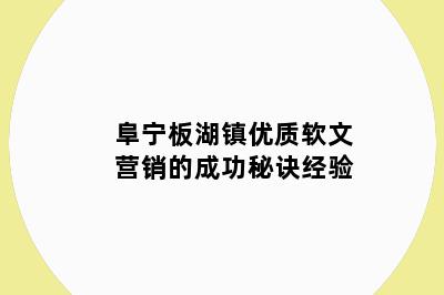 阜宁板湖镇优质软文营销的成功秘诀经验