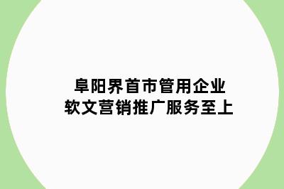 阜阳界首市管用企业软文营销推广服务至上