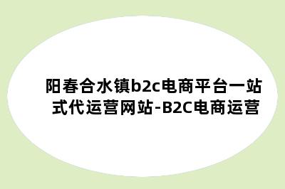 阳春合水镇b2c电商平台一站式代运营网站-B2C电商运营