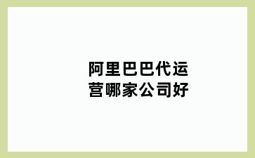 阿里巴巴代运营哪家公司好