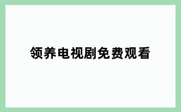 领养电视剧免费观看