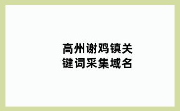 高州谢鸡镇关键词采集域名