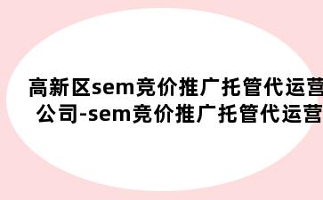 高新区sem竞价推广托管代运营公司-sem竞价推广托管代运营公司怎么样