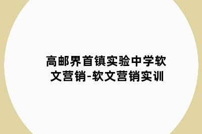 高邮界首镇实验中学软文营销-软文营销实训