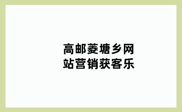 高邮菱塘乡网站营销获客乐