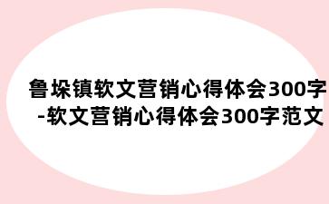 鲁垛镇软文营销心得体会300字-软文营销心得体会300字范文