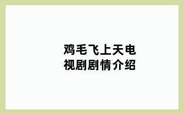 鸡毛飞上天电视剧剧情介绍