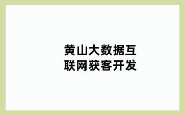 黄山大数据互联网获客开发