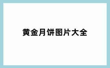 黄金月饼图片大全