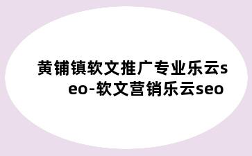 黄铺镇软文推广专业乐云seo-软文营销乐云seo