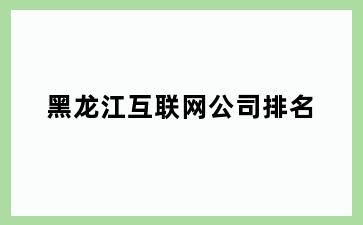 黑龙江互联网公司排名