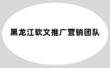 黑龙江软文推广营销团队