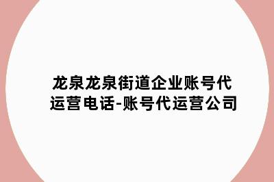 龙泉龙泉街道企业账号代运营电话-账号代运营公司