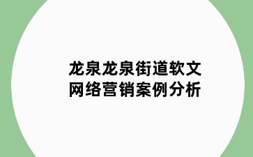 龙泉龙泉街道软文网络营销案例分析